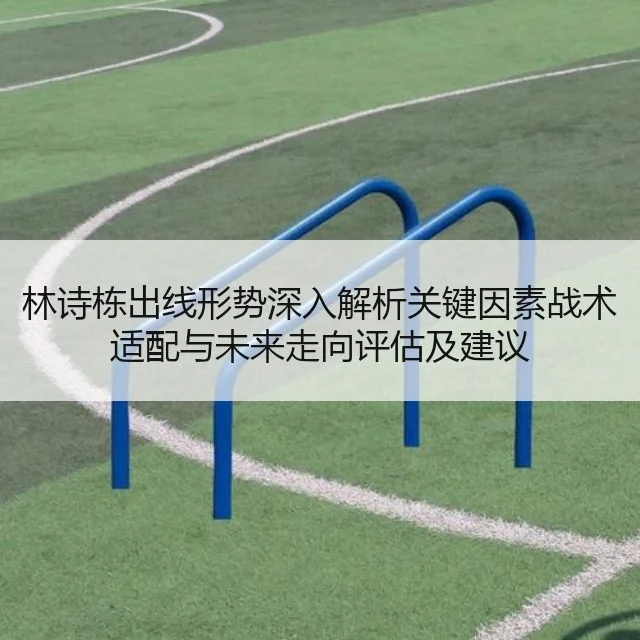 林诗栋出线形势深入解析关键因素战术适配与未来走向评估及建议